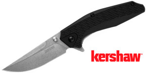Kershaw Coilover