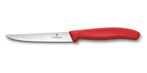 Victorinox 6.7231.C1