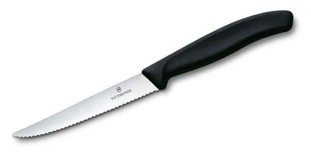 Victorinox 6.7233