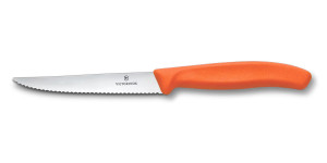 Victorinox 6.7239.C1