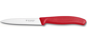 Victorinox 6.7731.C1